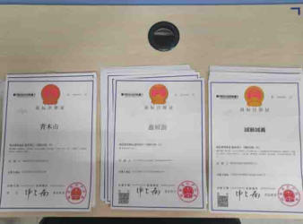 注冊公司 代理記賬公司注冊提供個體戶注冊、內(nèi)資公司注冊服務(wù)